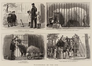 Paseos en el Zoológico